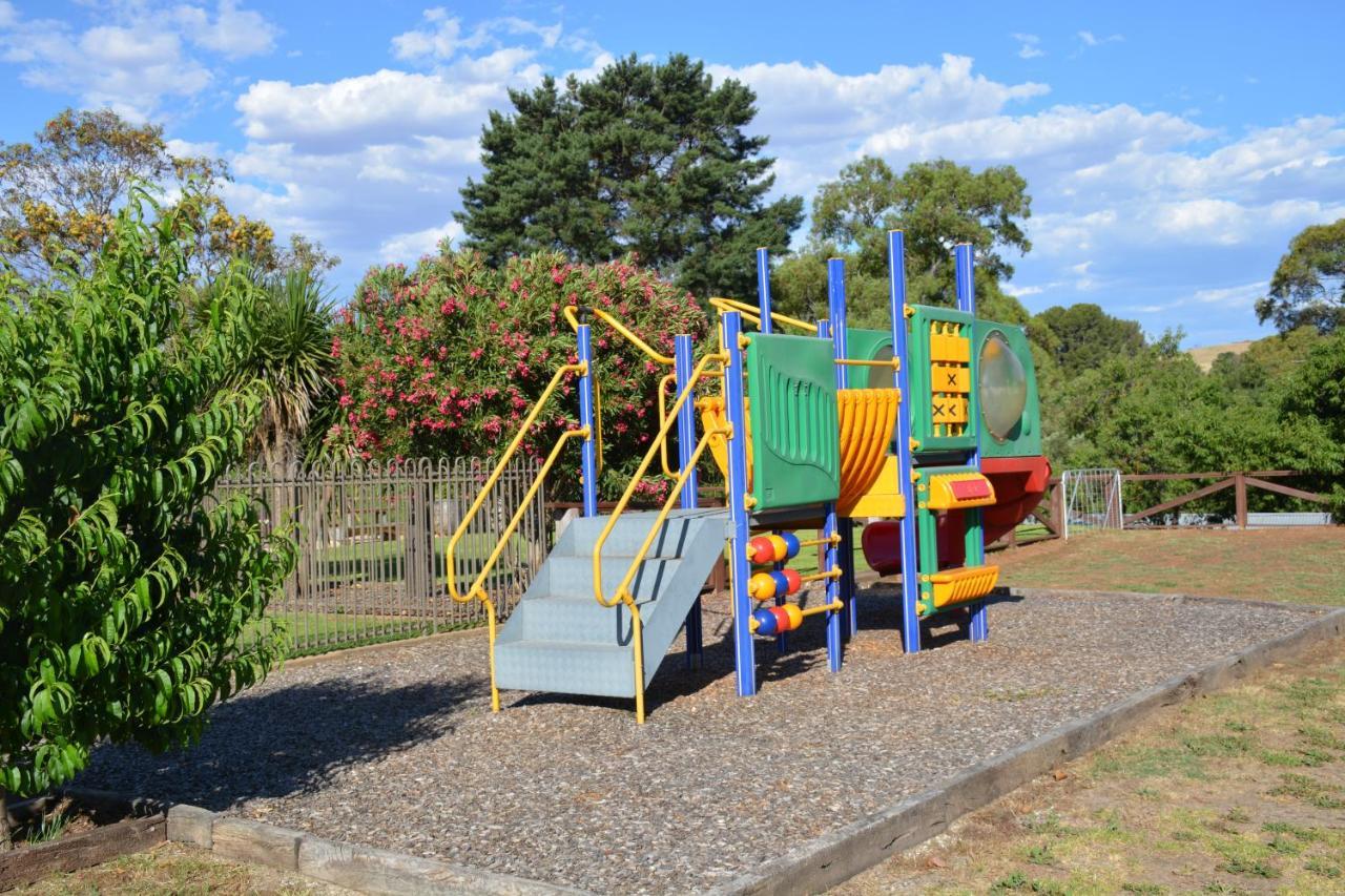Angaston Vineyards Motel Buitenkant foto