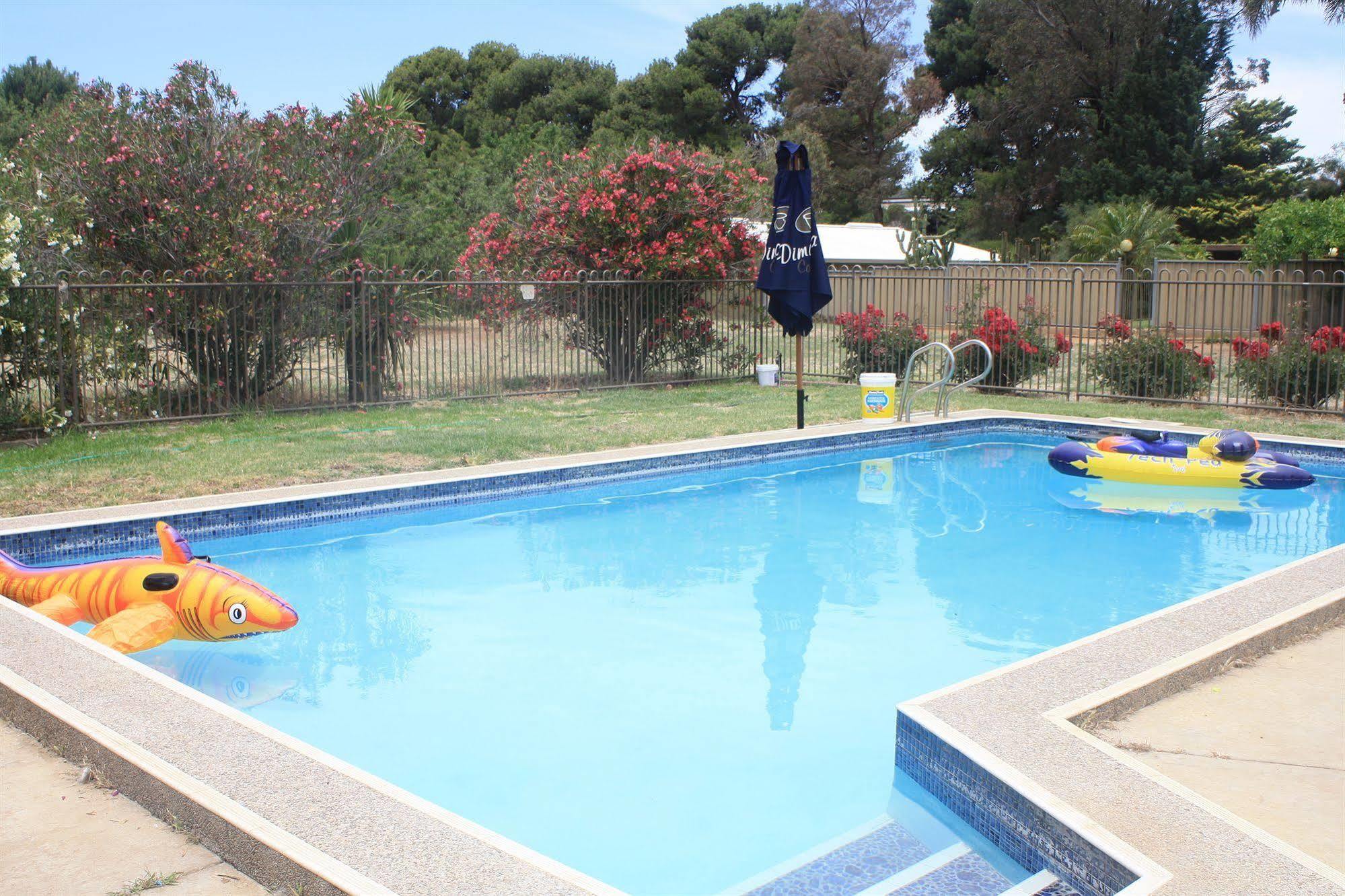 Angaston Vineyards Motel Buitenkant foto