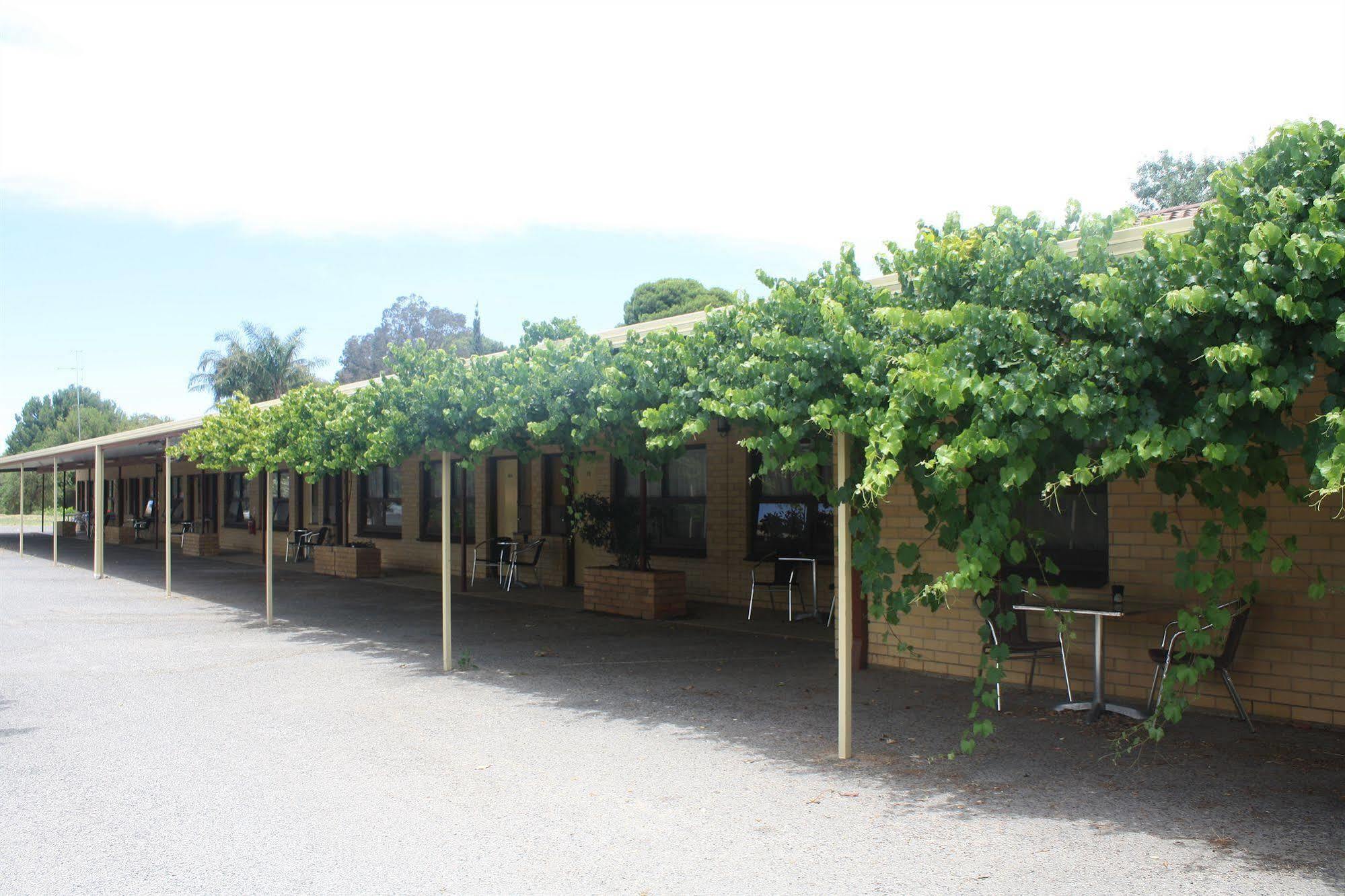 Angaston Vineyards Motel Buitenkant foto