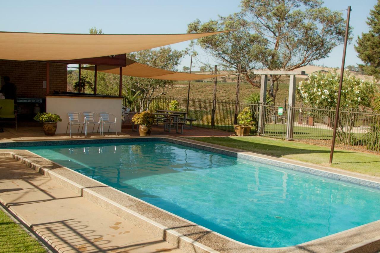 Angaston Vineyards Motel Buitenkant foto