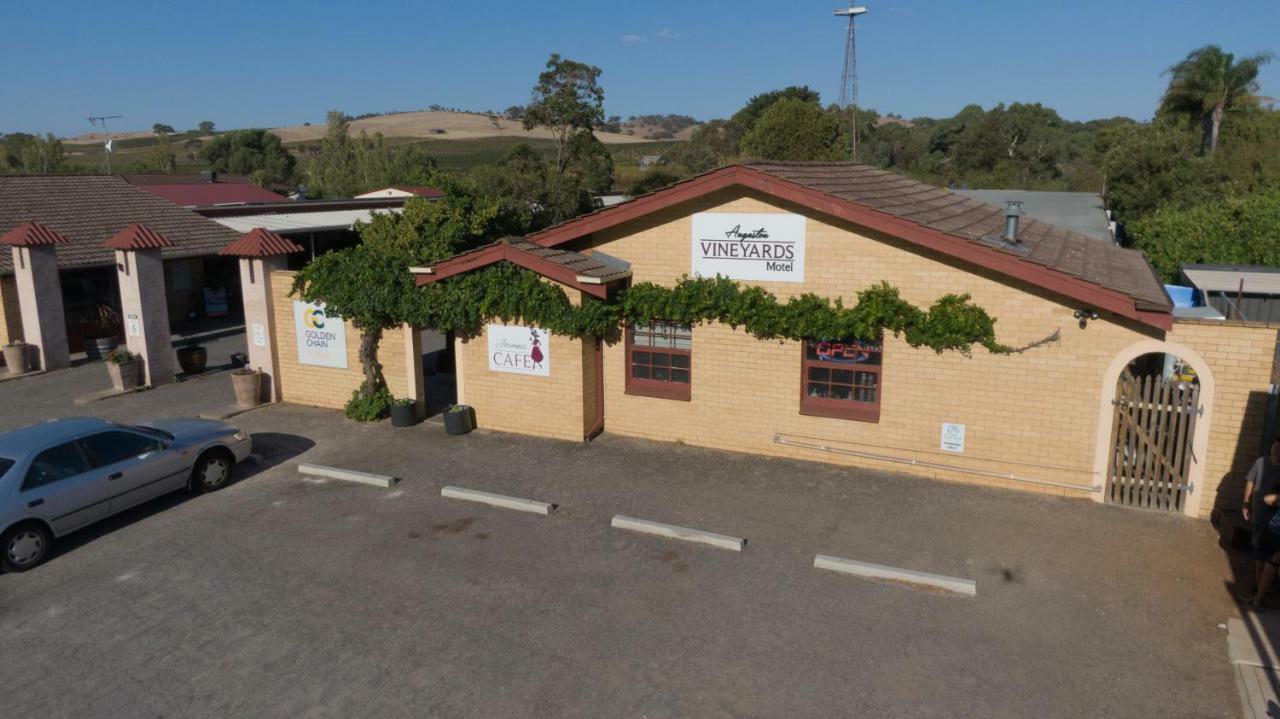 Angaston Vineyards Motel Buitenkant foto