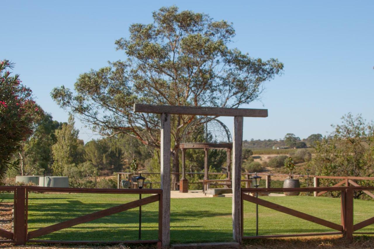 Angaston Vineyards Motel Buitenkant foto