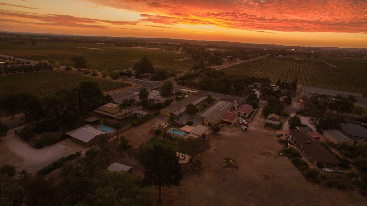 Angaston Vineyards Motel Buitenkant foto